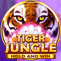 tiger jungle